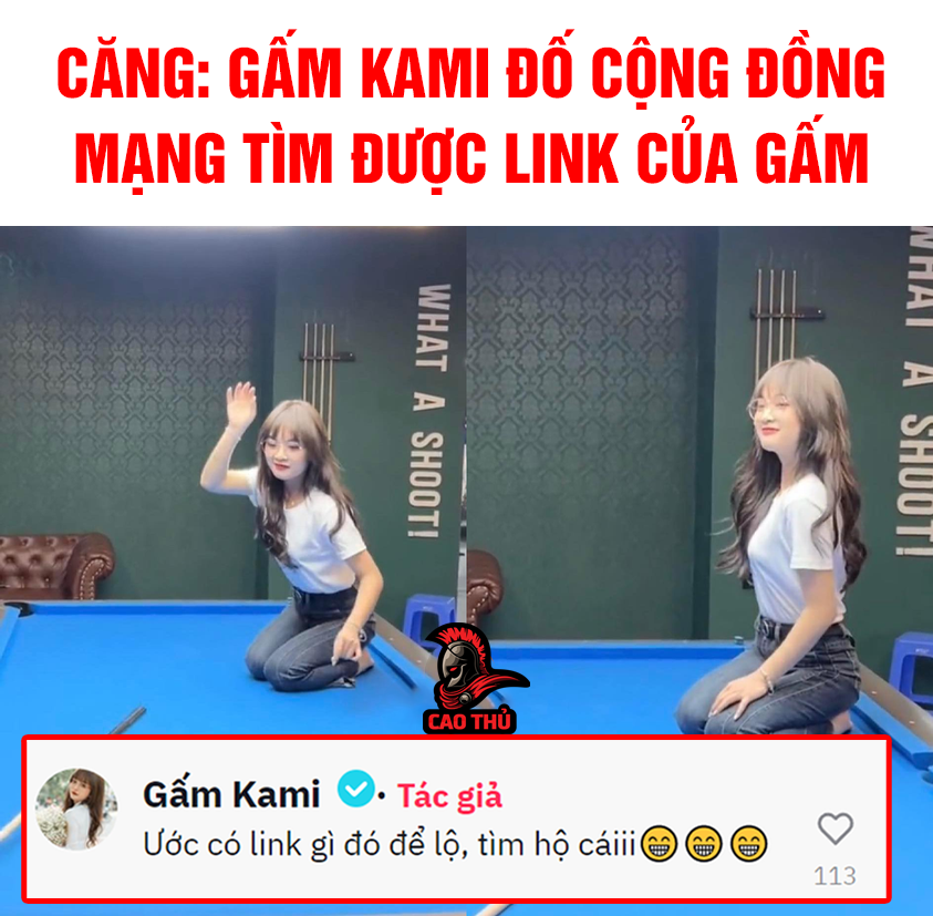 Gấm Kami thách thức cộng đồng mạng tìm được link của mình