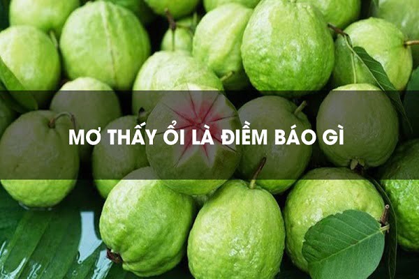 Nằm mơ thấy ăn trộm ổi là điềm báo gì khi mơ thấy ăn trộm ổi? Tôi nên đặt cược vào con số nào?