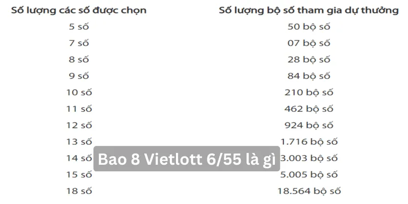 Trả lời câu hỏi: 8 vé số Vietlott 6/55 giá bao nhiêu?