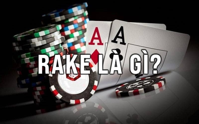 Rake Là Gì Trong Poker? Cách Tối Đa Hóa Lợi Nhuận Khi Chơi Poker Với Rake