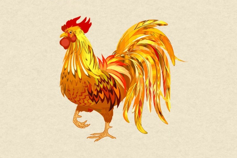 Người sinh năm 1981 có mệnh gì? Cung hoàng đạo của họ là gì? Tính cách của họ như thế nào? Màu sắc nào phù hợp?