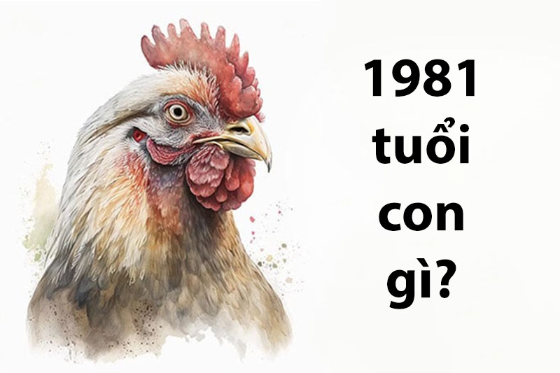 Người sinh năm 1981 có mệnh gì? Cung hoàng đạo của họ là gì? Tính cách của họ như thế nào? Màu sắc nào phù hợp?