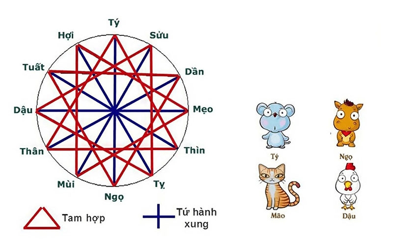 Người sinh năm 1981 có mệnh gì? Cung hoàng đạo của họ là gì? Tính cách của họ như thế nào? Màu sắc nào phù hợp?