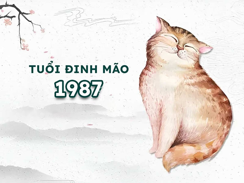 Vận mệnh của những người sinh năm 1987 là gì? Cung hoàng đạo của họ là gì? Tính cách của họ như thế nào? Những màu sắc và con số nào tương thích với họ?