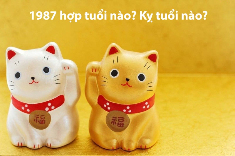 Vận mệnh của những người sinh năm 1987 là gì? Cung hoàng đạo của họ là gì? Tính cách của họ như thế nào? Những màu sắc và con số nào tương thích với họ?
