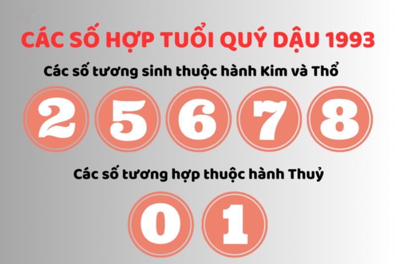 Vận mệnh năm 1993 thế nào? Bật mí toàn bộ thông tin về tử vi và phong thủy của người sinh năm 1993