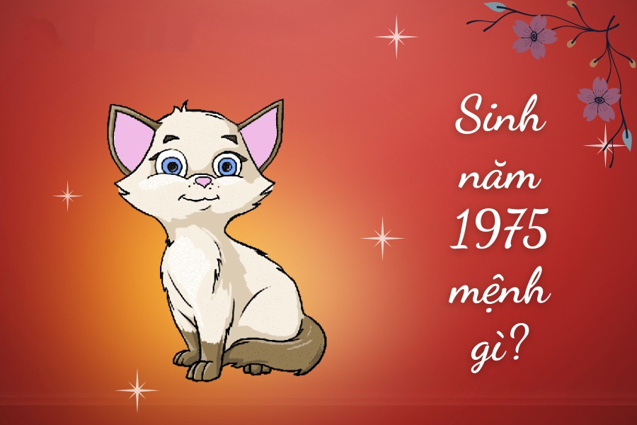 Số phận của những người sinh năm 1975 sẽ ra sao? Tuổi nào và màu sắc nào phù hợp với tuổi của Mao? - Phong Thủy Lâm Gia