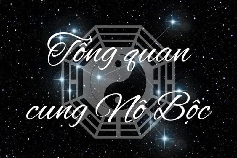Cung Người Hầu là gì? Giải mã ý nghĩa và ảnh hưởng của Cung Người Hầu trong tử vi