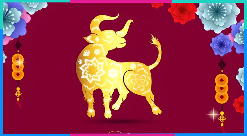 Tuổi Sửu hợp số mấy? Bật mí số may mắn tuổi Sửu