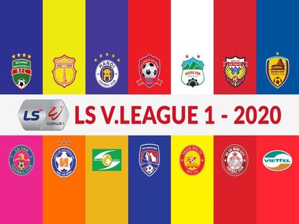 V-League Có Bao Nhiêu Vòng Đấu? Thể Thức Thi Đấu Mới Nhất