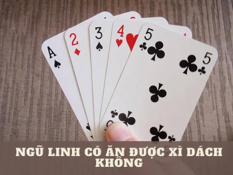 Ngũ Linh có ăn được Xì Dách không? Cách bốc ngũ linh