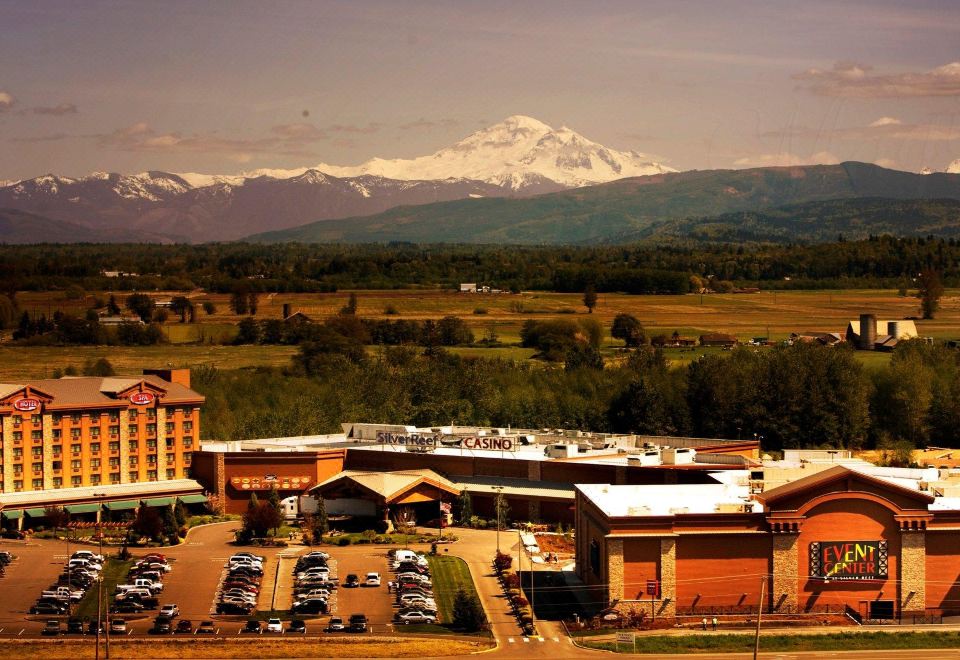 dolphins pearl deluxe-App für Android