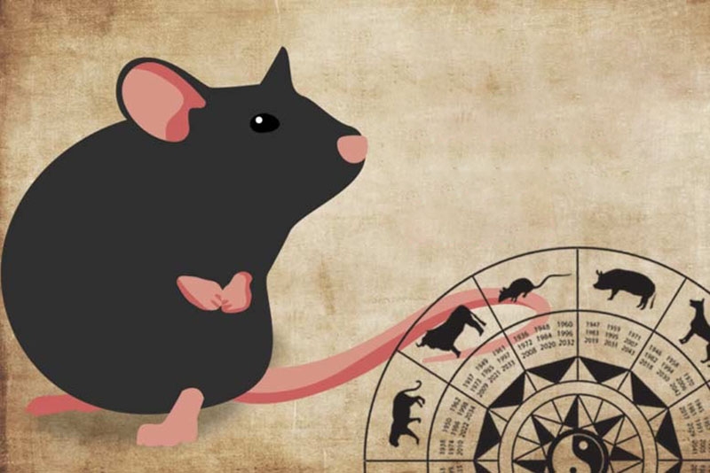 Màu sắc hợp phong thủy tuổi Giáp Tý