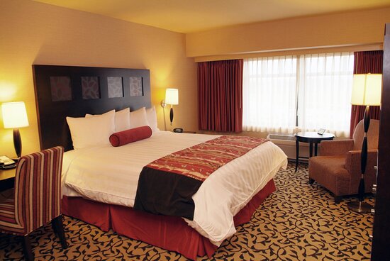 Caxino online casino new zealand