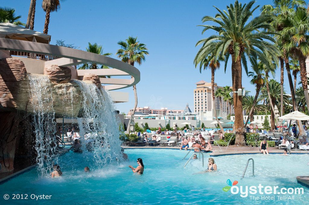 casino Crazy Monkey Free