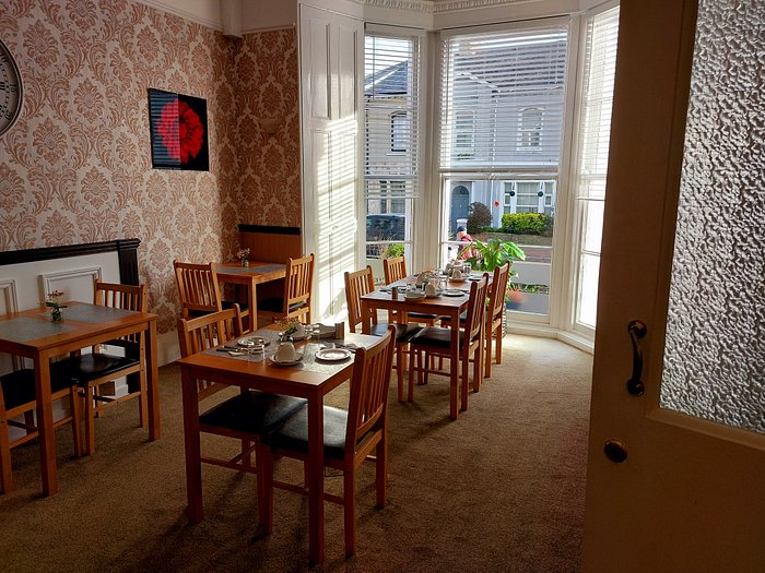 casino dingo no deposit bonus codes