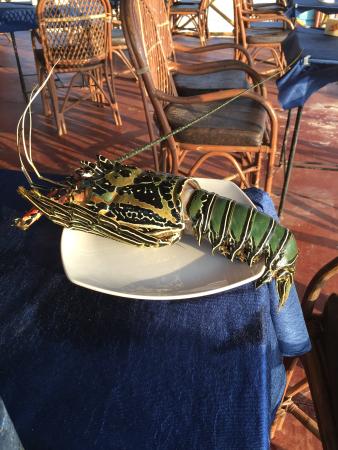 online casino las vegas