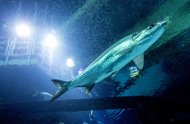 play real money slots